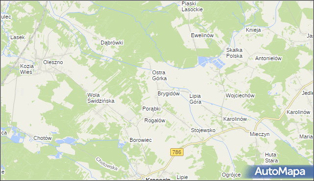 mapa Brygidów, Brygidów na mapie Targeo