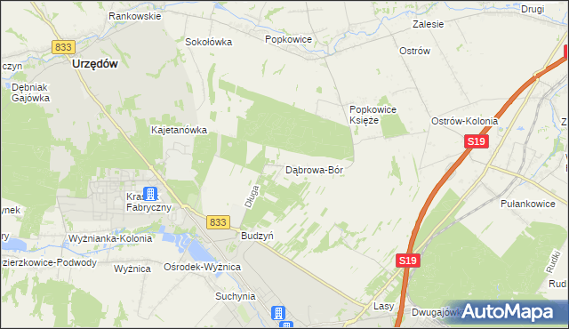 mapa Dąbrowa-Bór, Dąbrowa-Bór na mapie Targeo