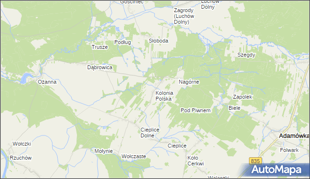 mapa Kolonia Polska, Kolonia Polska na mapie Targeo