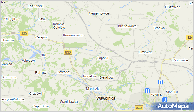 mapa Łopatki gmina Wąwolnica, Łopatki gmina Wąwolnica na mapie Targeo