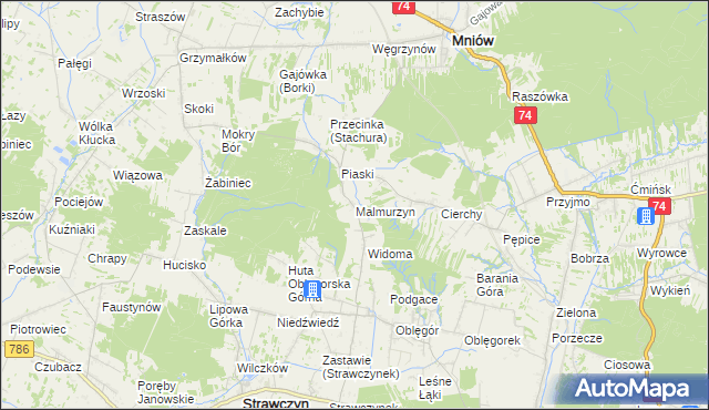 mapa Malmurzyn, Malmurzyn na mapie Targeo