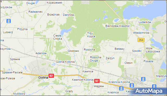 mapa Rosocha gmina Golina, Rosocha gmina Golina na mapie Targeo