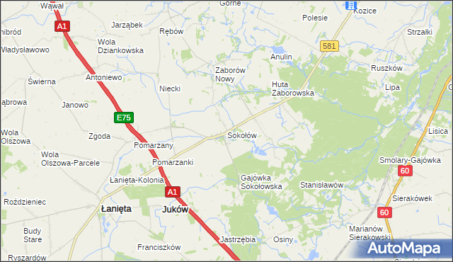 mapa Sokołów gmina Gostynin, Sokołów gmina Gostynin na mapie Targeo