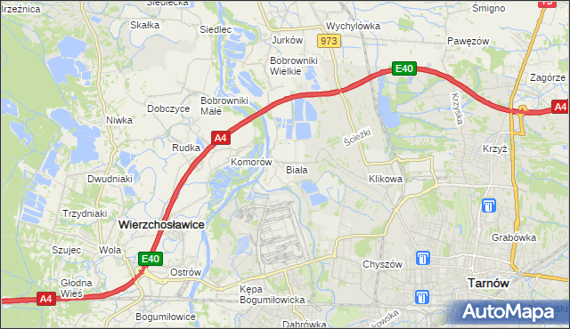 mapa Biała gmina Tarnów, Biała gmina Tarnów na mapie Targeo