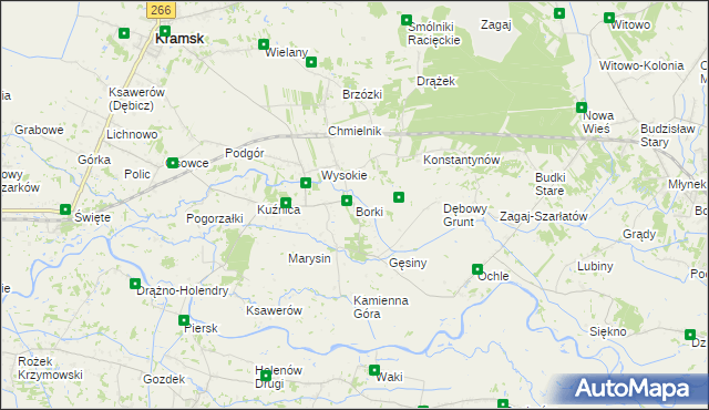 mapa Borki gmina Kramsk, Borki gmina Kramsk na mapie Targeo