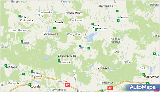 mapa Borki gmina Masłowice, Borki gmina Masłowice na mapie Targeo