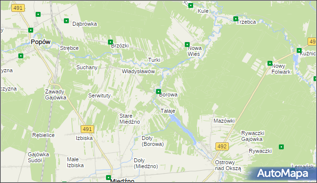 mapa Borowa gmina Miedźno, Borowa gmina Miedźno na mapie Targeo