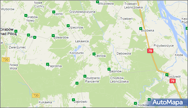 mapa Celinów gmina Grabów nad Pilicą, Celinów gmina Grabów nad Pilicą na mapie Targeo