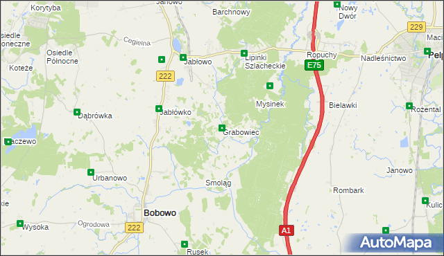 mapa Grabowiec gmina Bobowo, Grabowiec gmina Bobowo na mapie Targeo