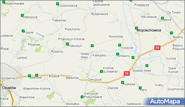 mapa Kaliszany gmina Wojciechowice, Kaliszany gmina Wojciechowice na mapie Targeo