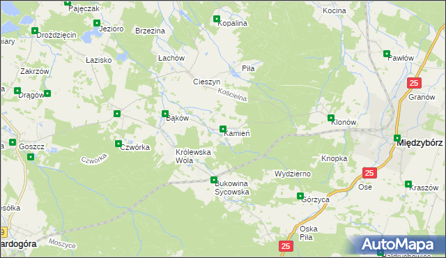 mapa Kamień gmina Międzybórz, Kamień gmina Międzybórz na mapie Targeo