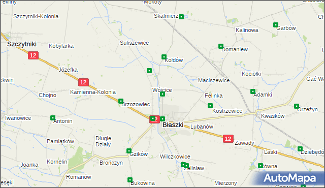 mapa Kokoszki gmina Błaszki, Kokoszki gmina Błaszki na mapie Targeo