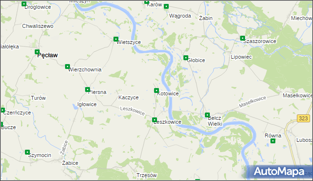 mapa Kotowice gmina Pęcław, Kotowice gmina Pęcław na mapie Targeo