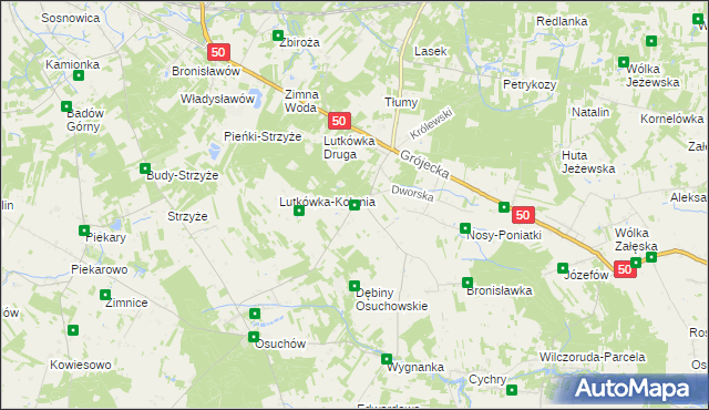 mapa Lutkówka gmina Mszczonów, Lutkówka gmina Mszczonów na mapie Targeo