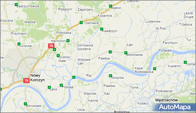 mapa Pawłów gmina Nowy Korczyn, Pawłów gmina Nowy Korczyn na mapie Targeo