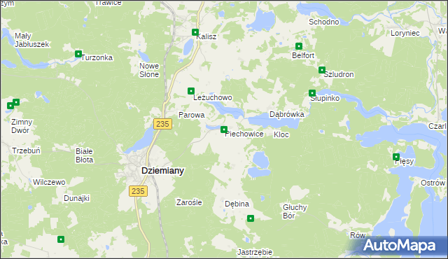 mapa Piechowice gmina Dziemiany, Piechowice gmina Dziemiany na mapie Targeo