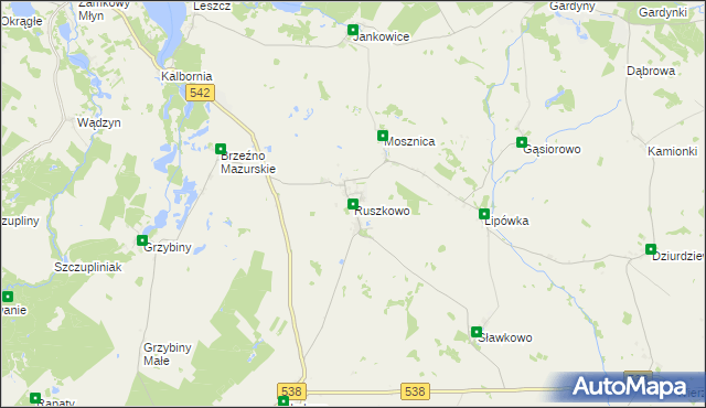 mapa Ruszkowo gmina Działdowo, Ruszkowo gmina Działdowo na mapie Targeo