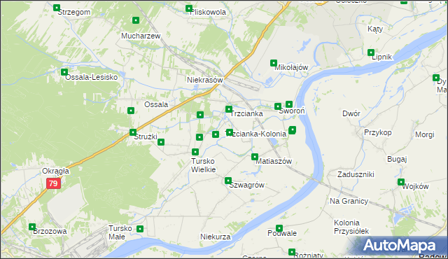 mapa Trzcianka-Kolonia gmina Osiek, Trzcianka-Kolonia gmina Osiek na mapie Targeo