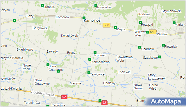 mapa Trzciniec gmina Leszno, Trzciniec gmina Leszno na mapie Targeo