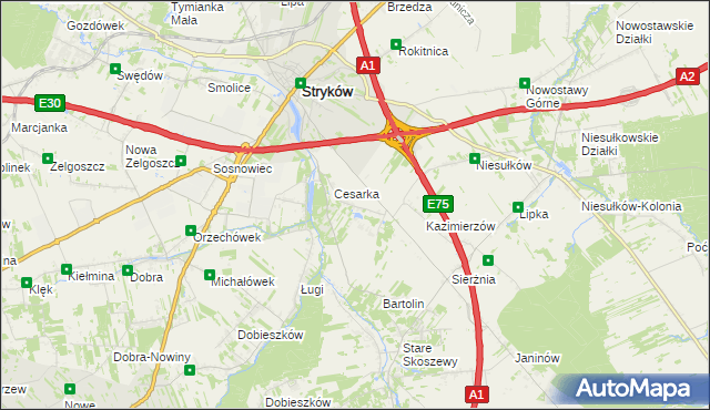mapa Warszewice gmina Stryków, Warszewice gmina Stryków na mapie Targeo