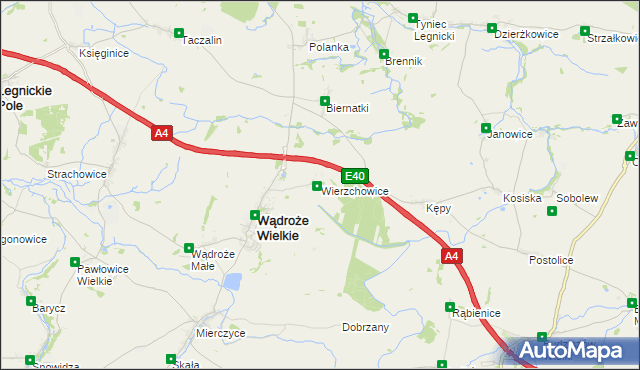mapa Wierzchowice gmina Wądroże Wielkie, Wierzchowice gmina Wądroże Wielkie na mapie Targeo