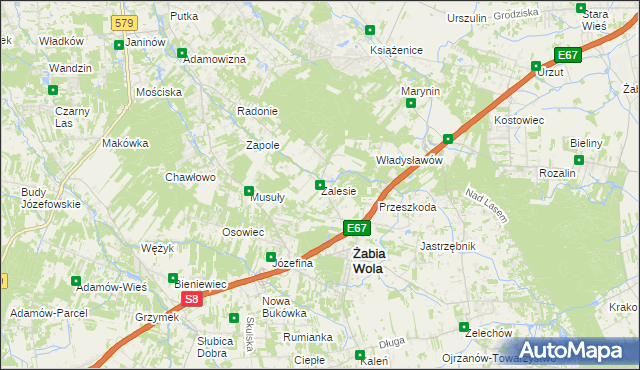 mapa Zalesie gmina Żabia Wola, Zalesie gmina Żabia Wola na mapie Targeo