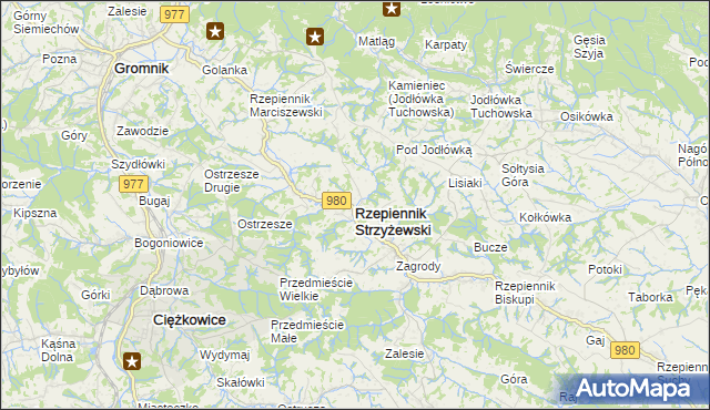 mapa Rzepiennik Strzyżewski, Rzepiennik Strzyżewski na mapie Targeo