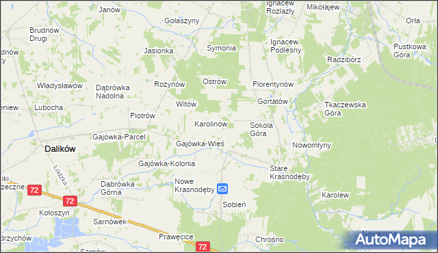 mapa Anastazew gmina Parzęczew, Anastazew gmina Parzęczew na mapie Targeo