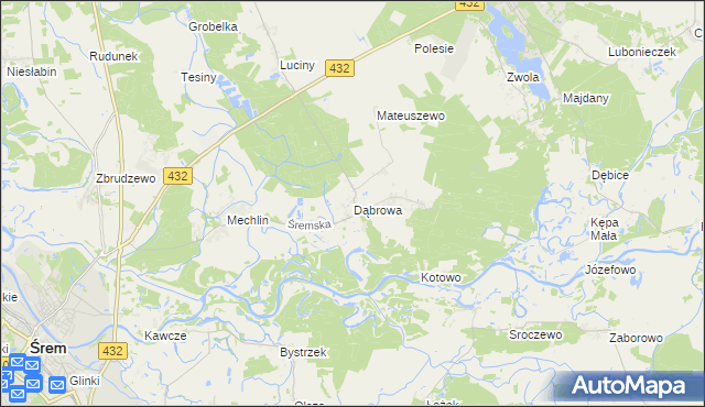mapa Dąbrowa gmina Śrem, Dąbrowa gmina Śrem na mapie Targeo