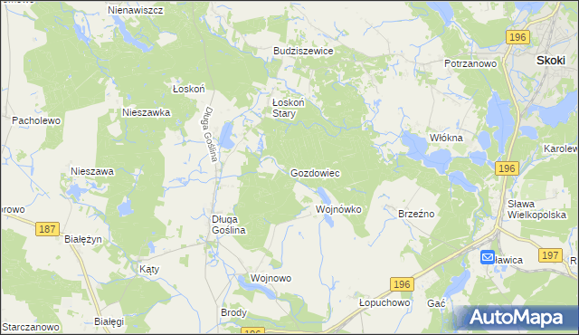 mapa Gozdowiec, Gozdowiec na mapie Targeo