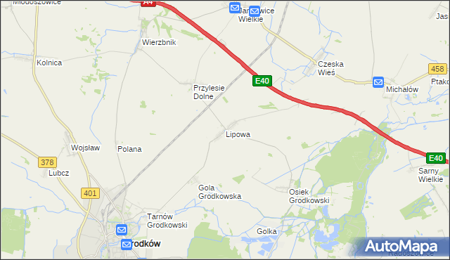 mapa Lipowa gmina Grodków, Lipowa gmina Grodków na mapie Targeo
