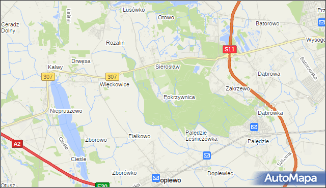 mapa Pokrzywnica gmina Dopiewo, Pokrzywnica gmina Dopiewo na mapie Targeo