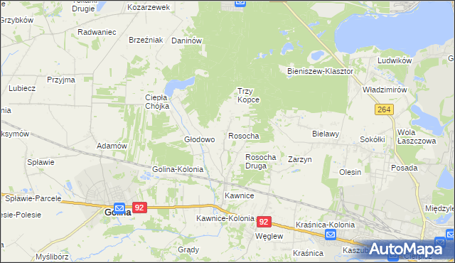 mapa Rosocha gmina Golina, Rosocha gmina Golina na mapie Targeo