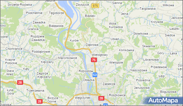 mapa Wielogłowy gmina Chełmiec, Wielogłowy gmina Chełmiec na mapie Targeo