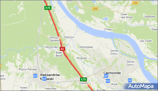 mapa Wołuszewo, Wołuszewo na mapie Targeo