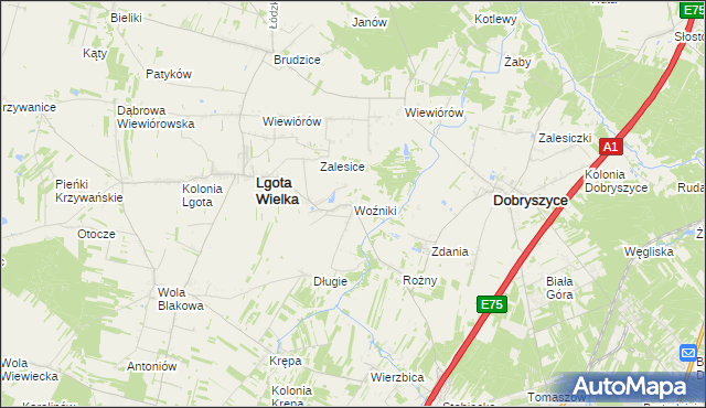 mapa Woźniki gmina Lgota Wielka, Woźniki gmina Lgota Wielka na mapie Targeo