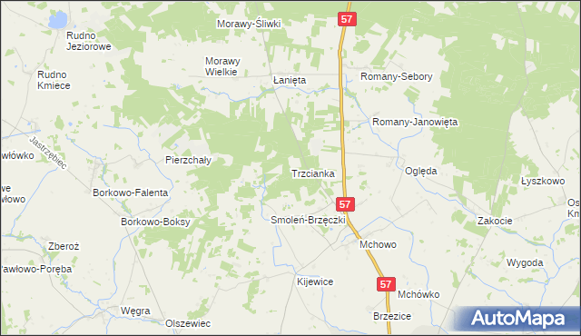 mapa Trzcianka gmina Przasnysz, Trzcianka gmina Przasnysz na mapie Targeo