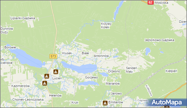 mapa Antoninów gmina Gostynin, Antoninów gmina Gostynin na mapie Targeo
