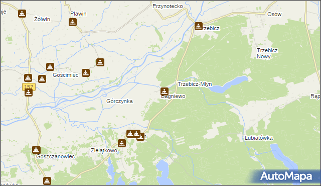 mapa Bagniewo gmina Drezdenko, Bagniewo gmina Drezdenko na mapie Targeo