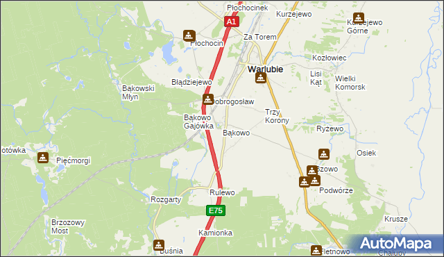 mapa Bąkowo gmina Warlubie, Bąkowo gmina Warlubie na mapie Targeo
