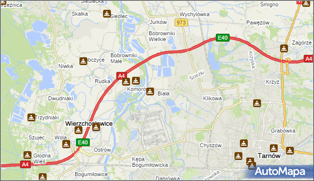 mapa Biała gmina Tarnów, Biała gmina Tarnów na mapie Targeo