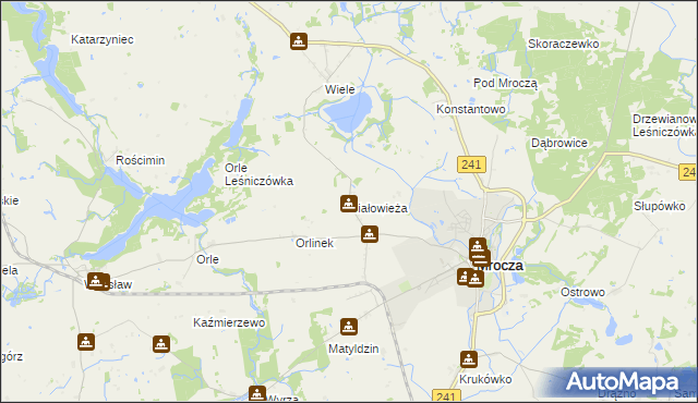 mapa Białowieża gmina Mrocza, Białowieża gmina Mrocza na mapie Targeo