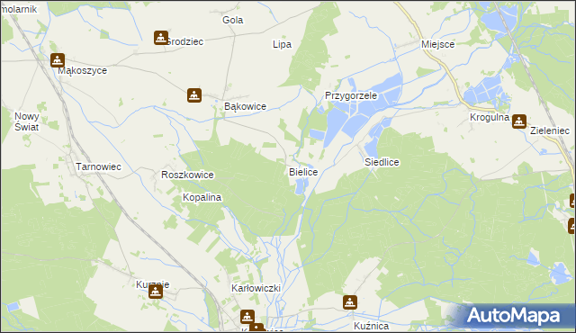 mapa Bielice gmina Świerczów, Bielice gmina Świerczów na mapie Targeo