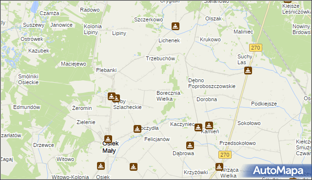 mapa Borecznia Wielka, Borecznia Wielka na mapie Targeo