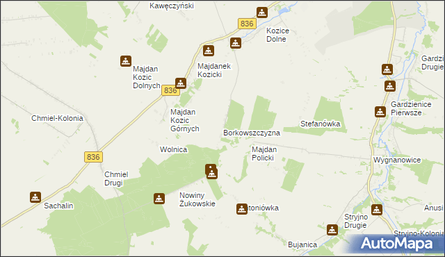 mapa Borkowszczyzna, Borkowszczyzna na mapie Targeo