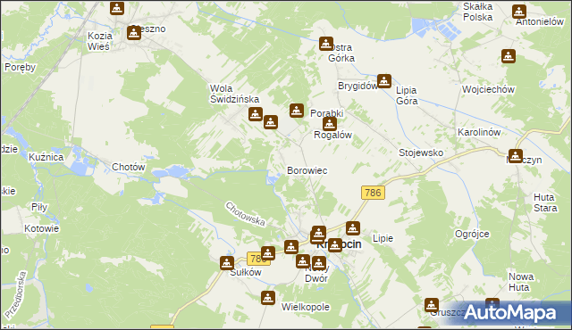 mapa Borowiec gmina Krasocin, Borowiec gmina Krasocin na mapie Targeo