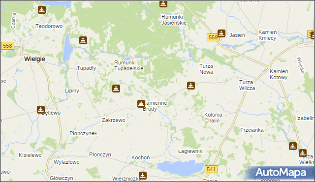 mapa Borowo gmina Tłuchowo, Borowo gmina Tłuchowo na mapie Targeo