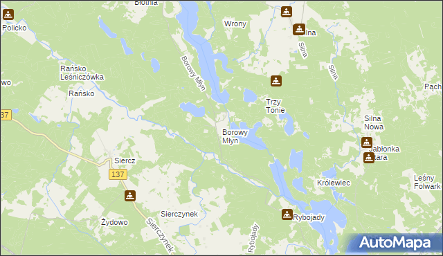 mapa Borowy Młyn gmina Pszczew, Borowy Młyn gmina Pszczew na mapie Targeo