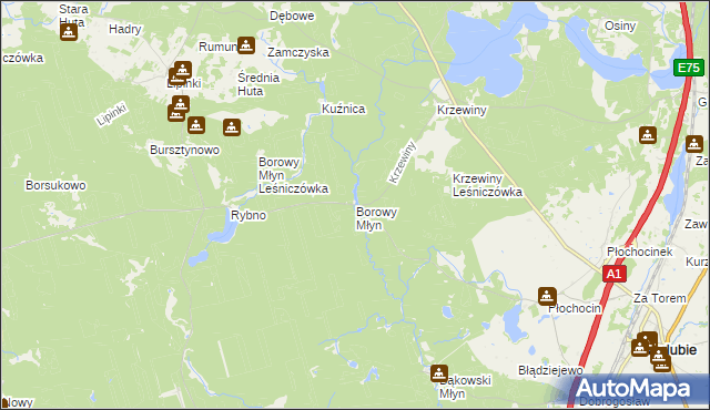 mapa Borowy Młyn gmina Warlubie, Borowy Młyn gmina Warlubie na mapie Targeo