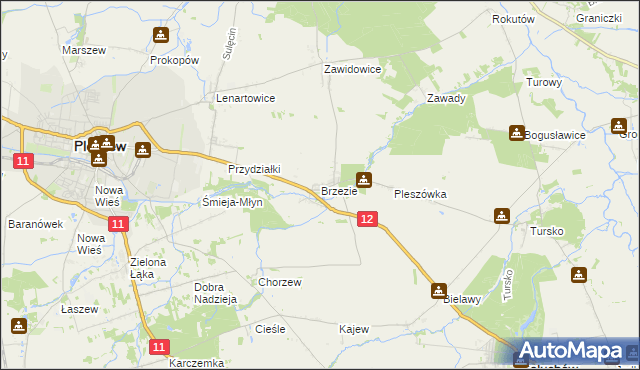 mapa Brzezie gmina Pleszew, Brzezie gmina Pleszew na mapie Targeo